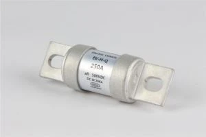 EV charger fuse EV charger fuse